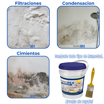 BLOQUEADOR DE HUMEDAD HUMEDEX® - Sellador antihumedad unico en el pais!