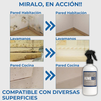 Spray Anti-Moho de Limpieza previa